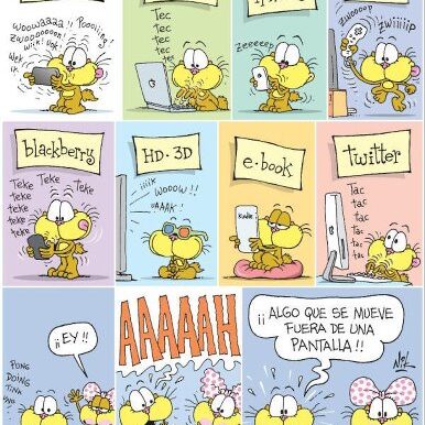 283615_403807269672043_2028646090_n